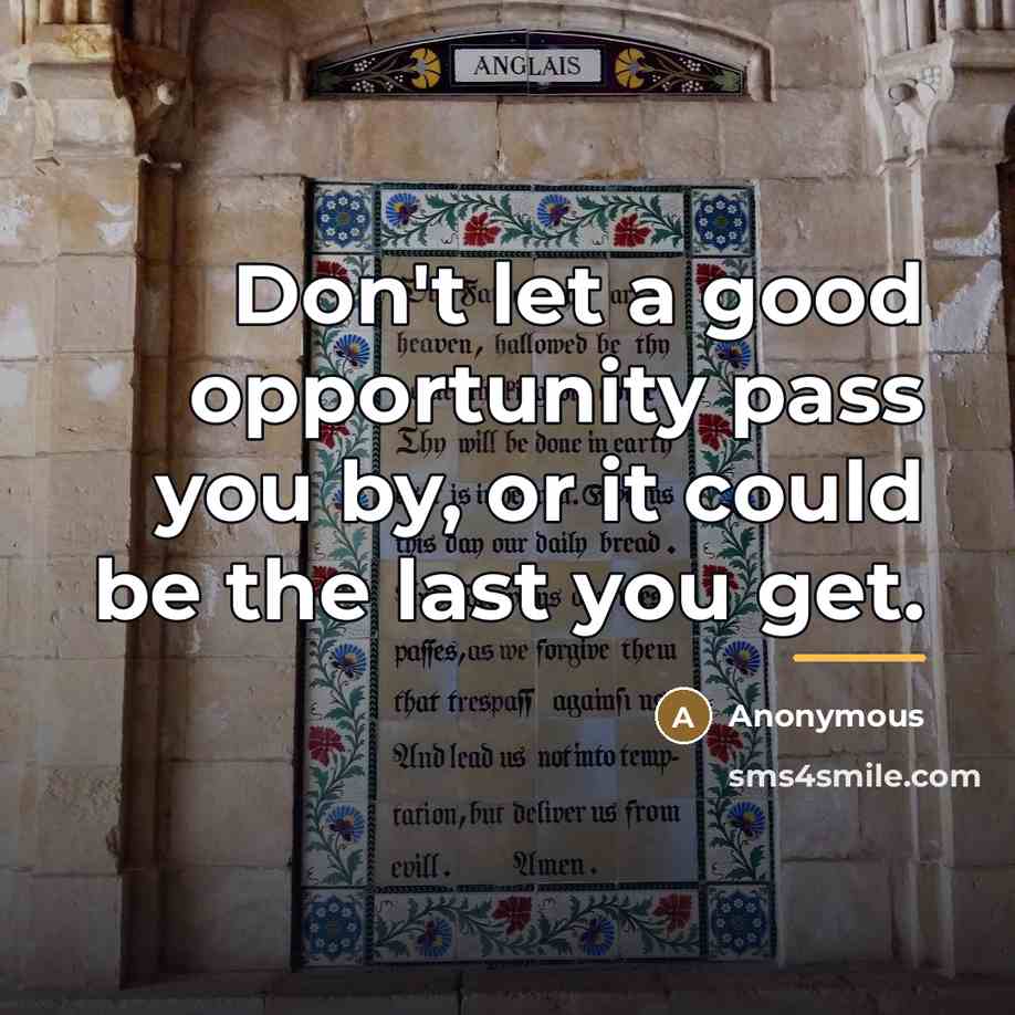 “Don't let a good opportunity pass you by, or it…” quote by Anonymous