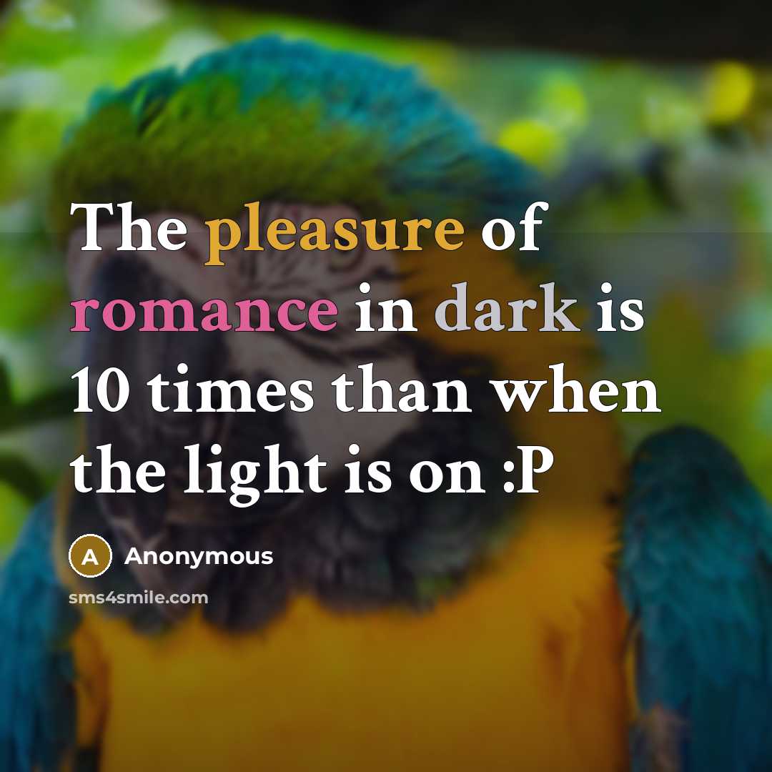 “The pleasure of romance in dark is 10 times than…” quote by Anonymous