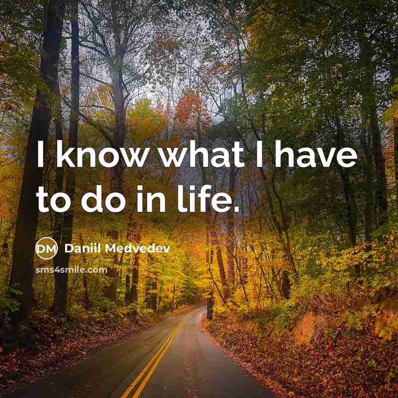 “I know what I have to do in life.…” quote by Daniil Medvedev