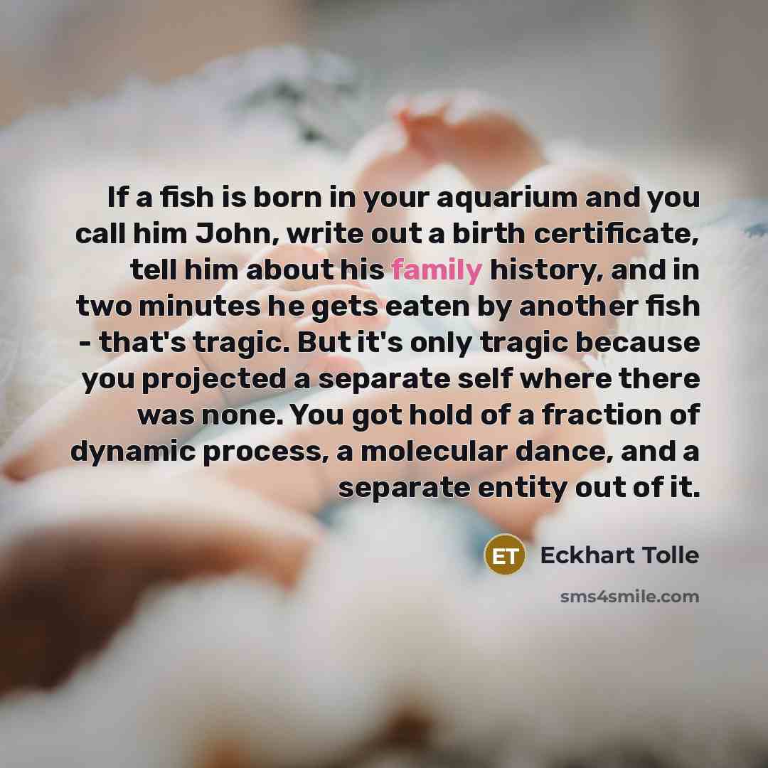 “If a fish is born in your aquarium and you…” quote by Eckhart Tolle