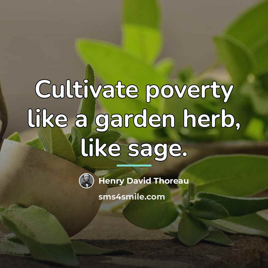 “Cultivate poverty like a garden herb, like sage.…” quote by Henry David Thoreau