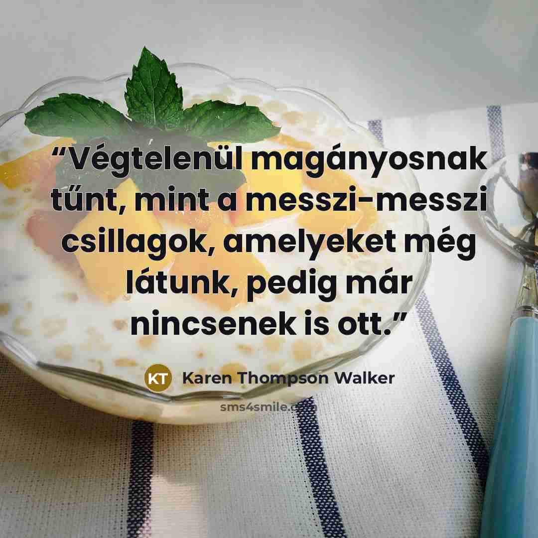 “Végtelenül magányosnak tűnt, mint a messzi-messzi csillagok, amelyeket még látunk, pedig már nincsenek is ott.” quote by Karen Thompson Walker