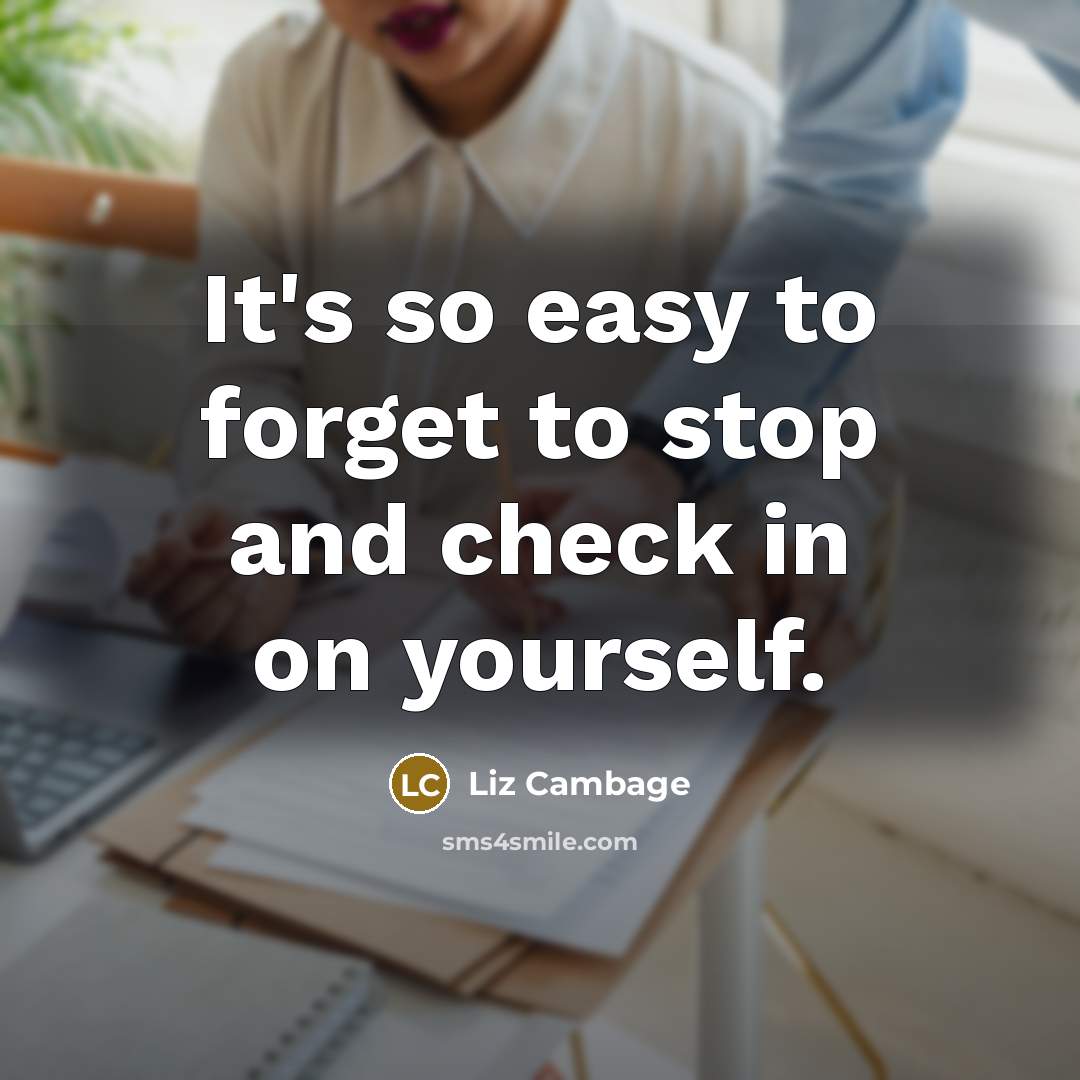 “It's so easy to forget to stop and check in…” quote by Liz Cambage