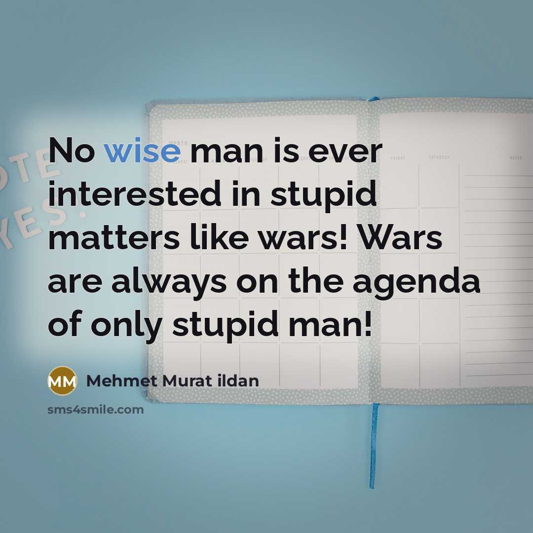 “No wise man is ever interested in stupid matters like…” quote by Mehmet Murat Ildan