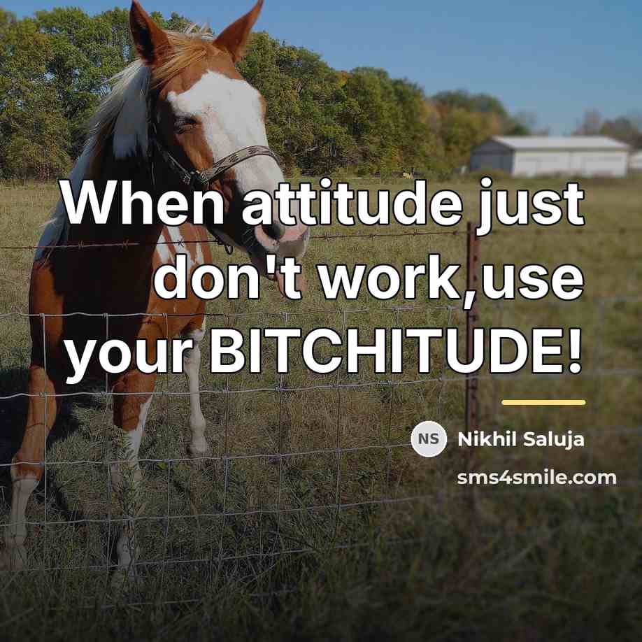 “When attitude just don't work,use your BITCHITUDE!…” quote by Nikhil Saluja