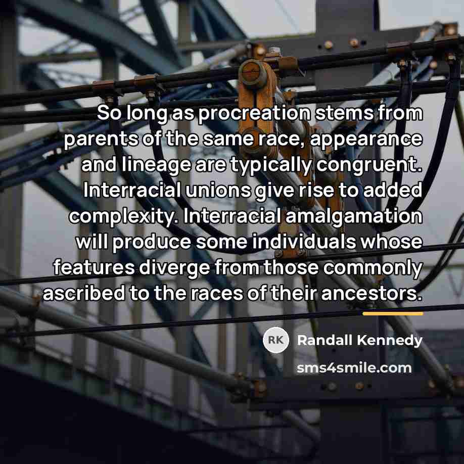 “So long as procreation stems from parents of the same…” quote by Randall Kennedy
