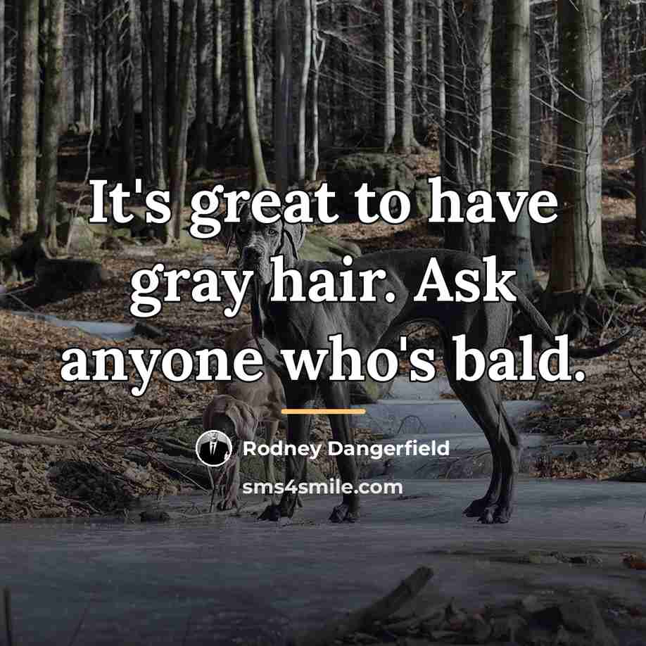 “It's great to have gray hair. Ask anyone who's bald.…” quote by Rodney Dangerfield