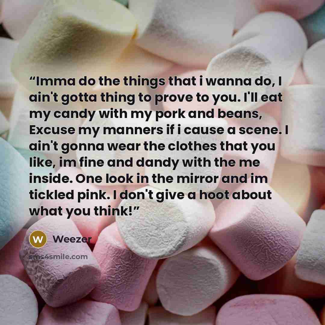 “Imma do the things that i wanna do, I ain't gotta thing to prove to you. I'll eat my candy with my pork and beans, Excuse my manners if i cause a scene. I ain't gonna wear the clothes that you like, im fine and dandy with the me inside. One look in the mirror and im tickled pink. I don't give a…” quote by Weezer
