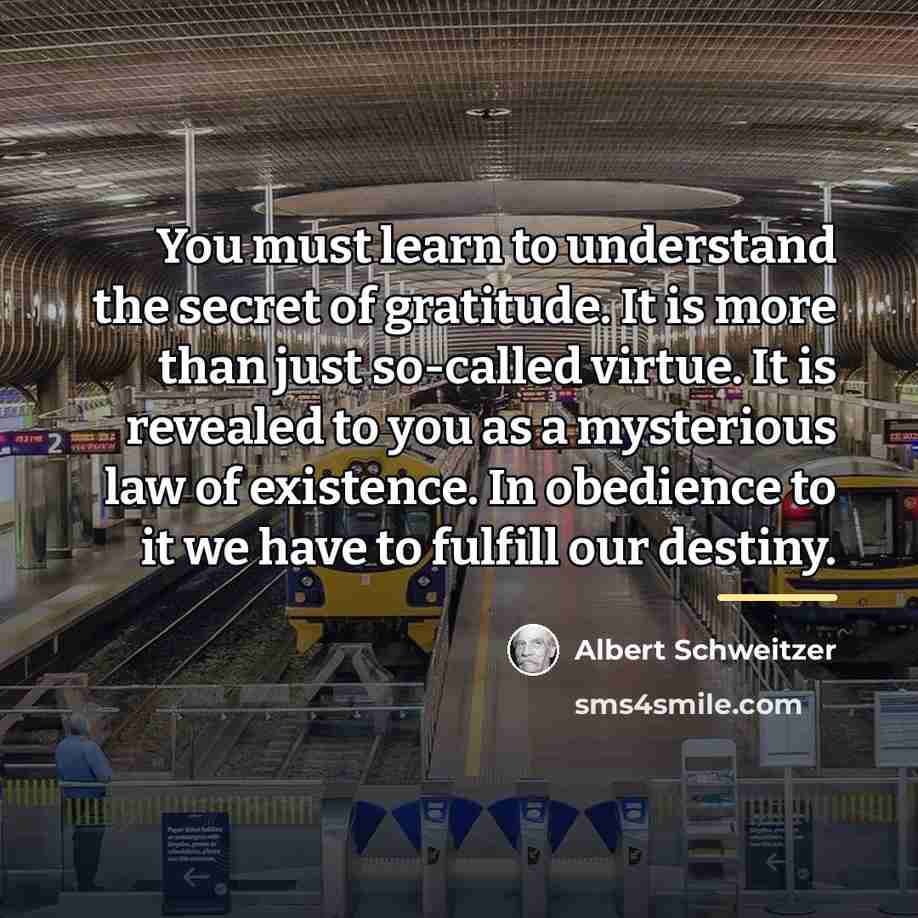 “You must learn to understand the secret of gratitude. It…” quote by Albert Schweitzer