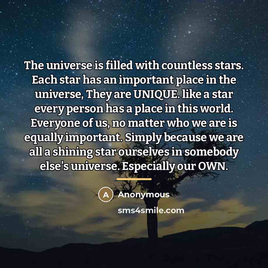 “The universe is filled with countless stars. Each star has…” quote by Anonymous