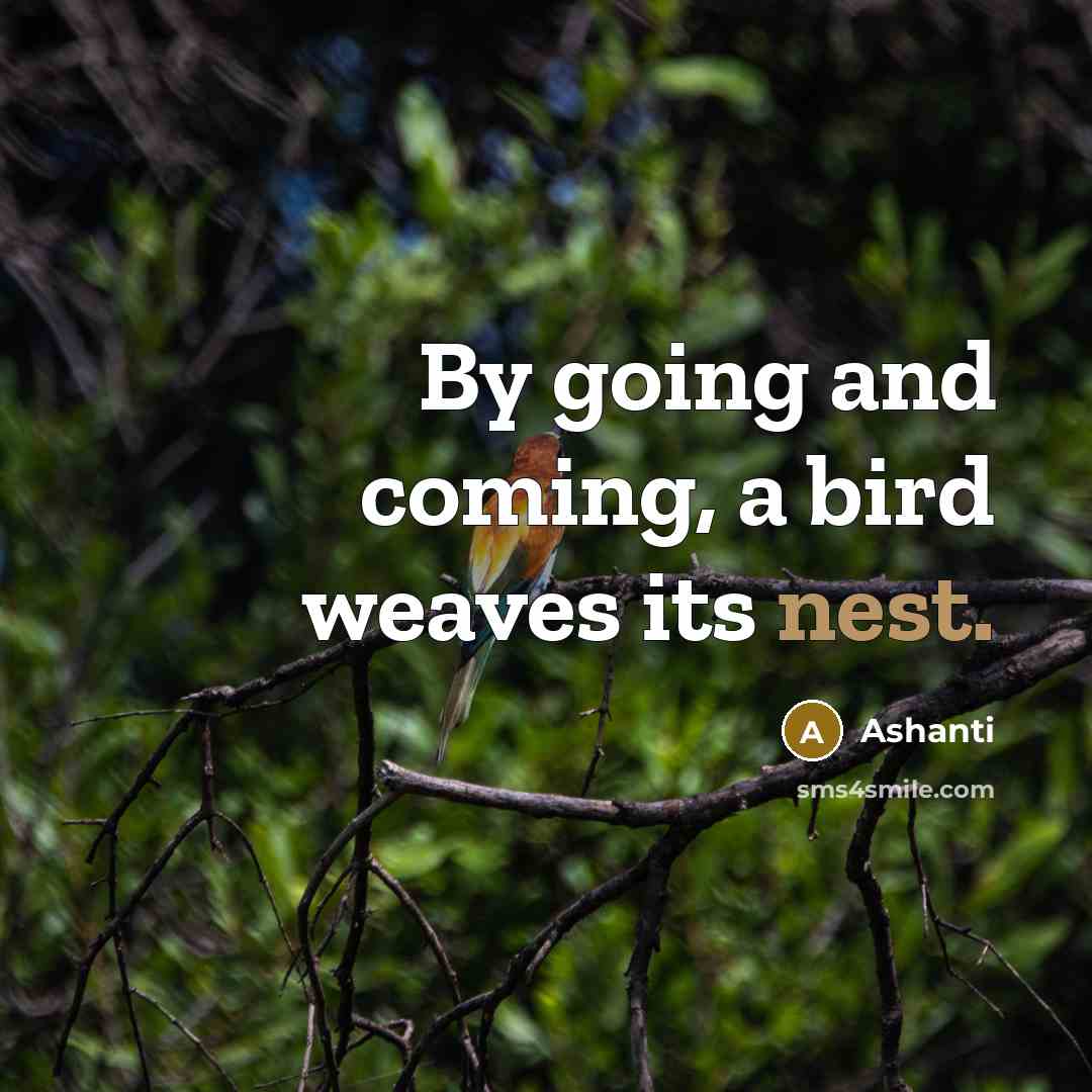“By going and coming, a bird weaves its nest.…” quote by Ashanti
