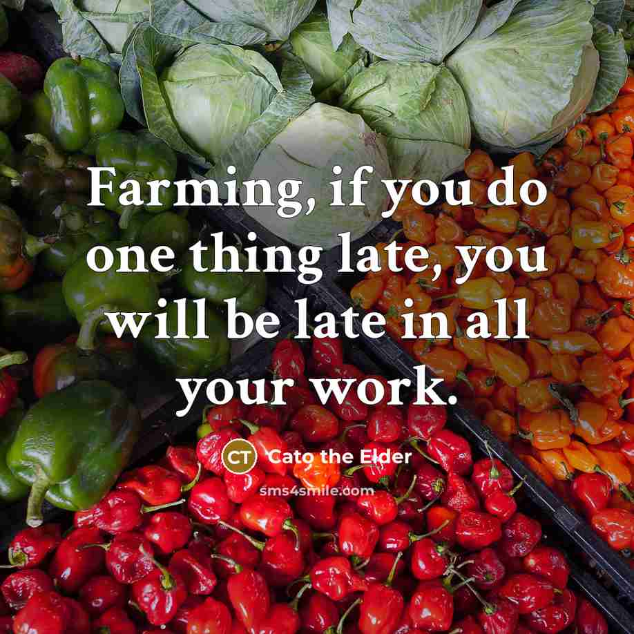 “Farming, if you do one thing late, you will be…” quote by Cato the Elder