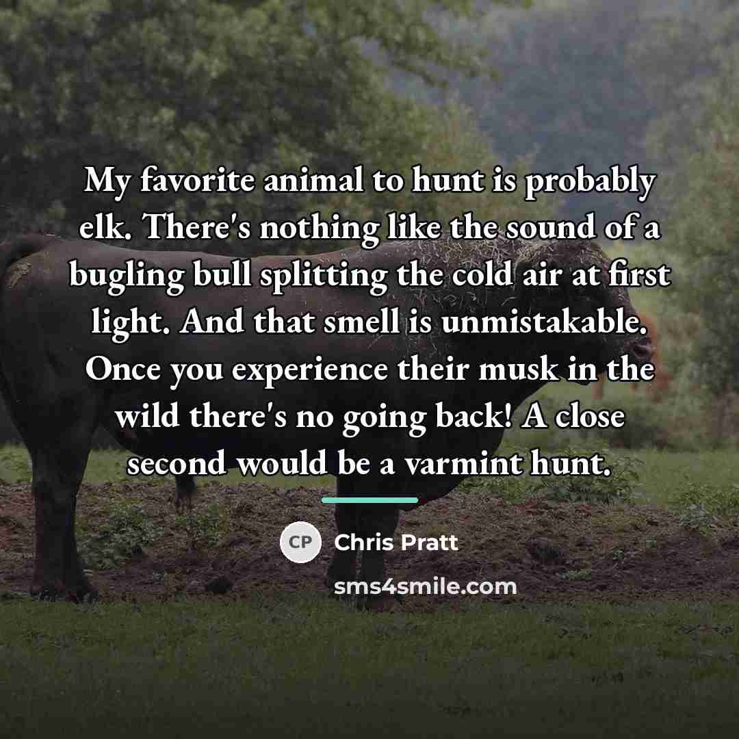 “My favorite animal to hunt is probably elk. There's nothing…” quote by Chris Pratt