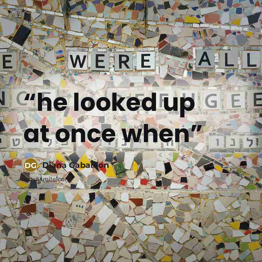 “he looked up at once when” quote by Diana Gabaldon
