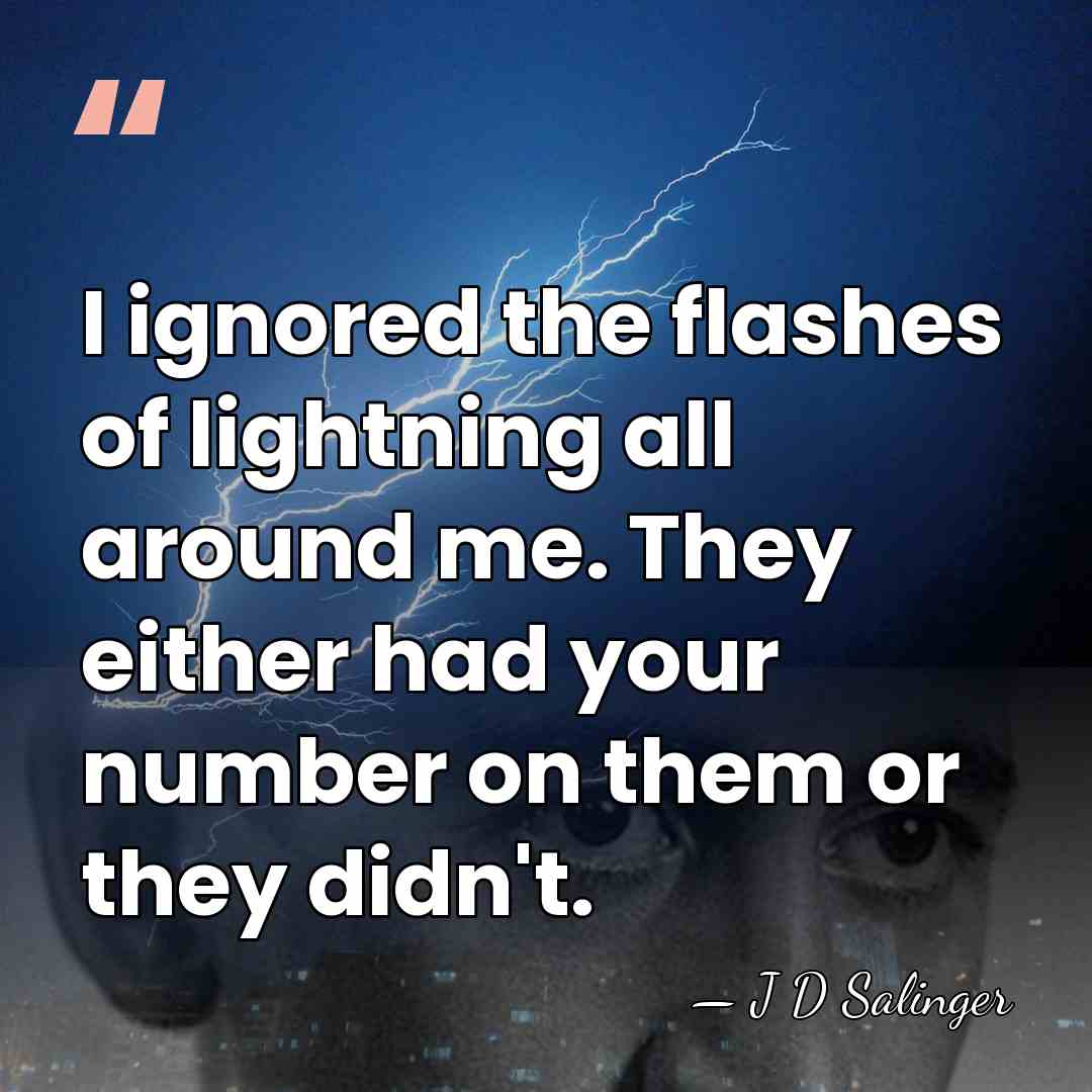 I ignored the flashes of lightning all around me. They either had&hellip; - J D Salinger