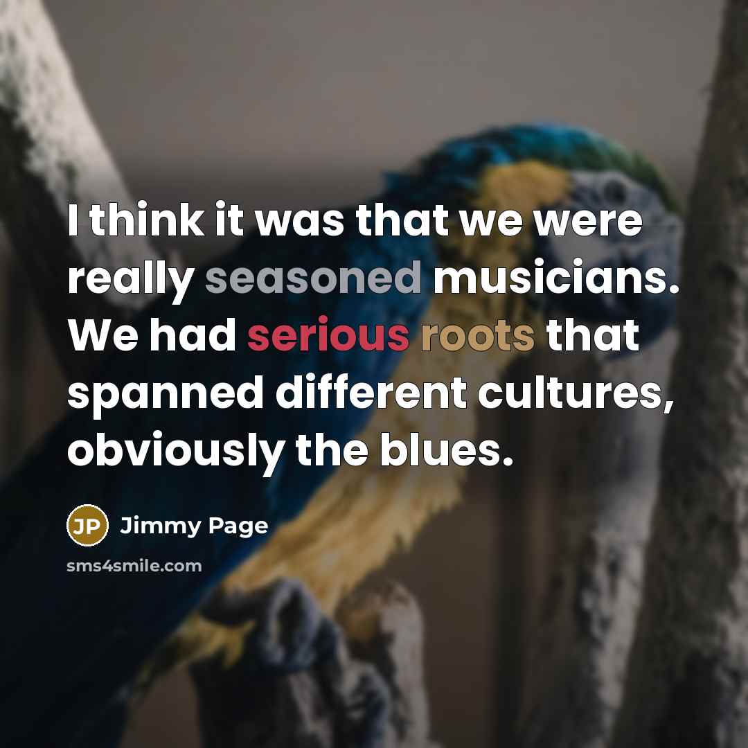 “I think it was that we were really seasoned musicians. We had serious roots that spanned different cultures, obviously the blues.” quote by Jimmy Page