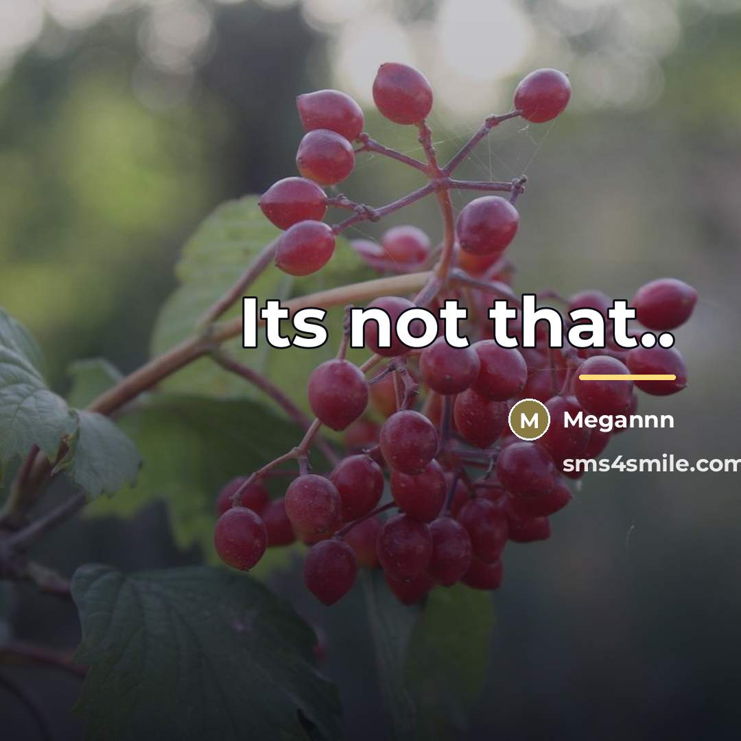 “Its not that..…” quote by Megannn