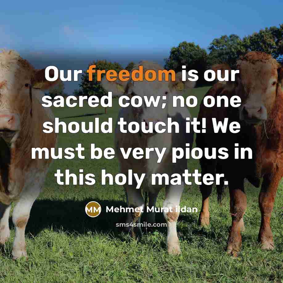 “Our freedom is our sacred cow; no one should touch…” quote by Mehmet Murat Ildan