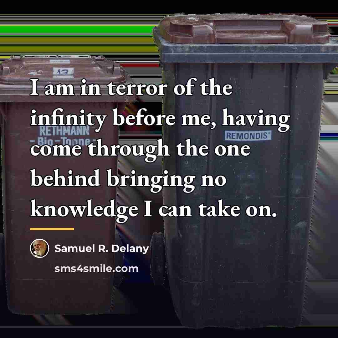 “I am in terror of the infinity before me, having…” quote by Samuel R. Delany