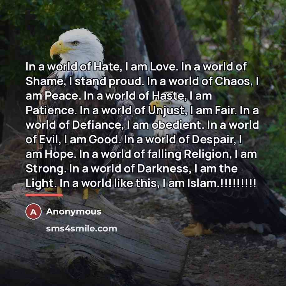 “In a world of Hate, I am Love. In a…” quote by Anonymous