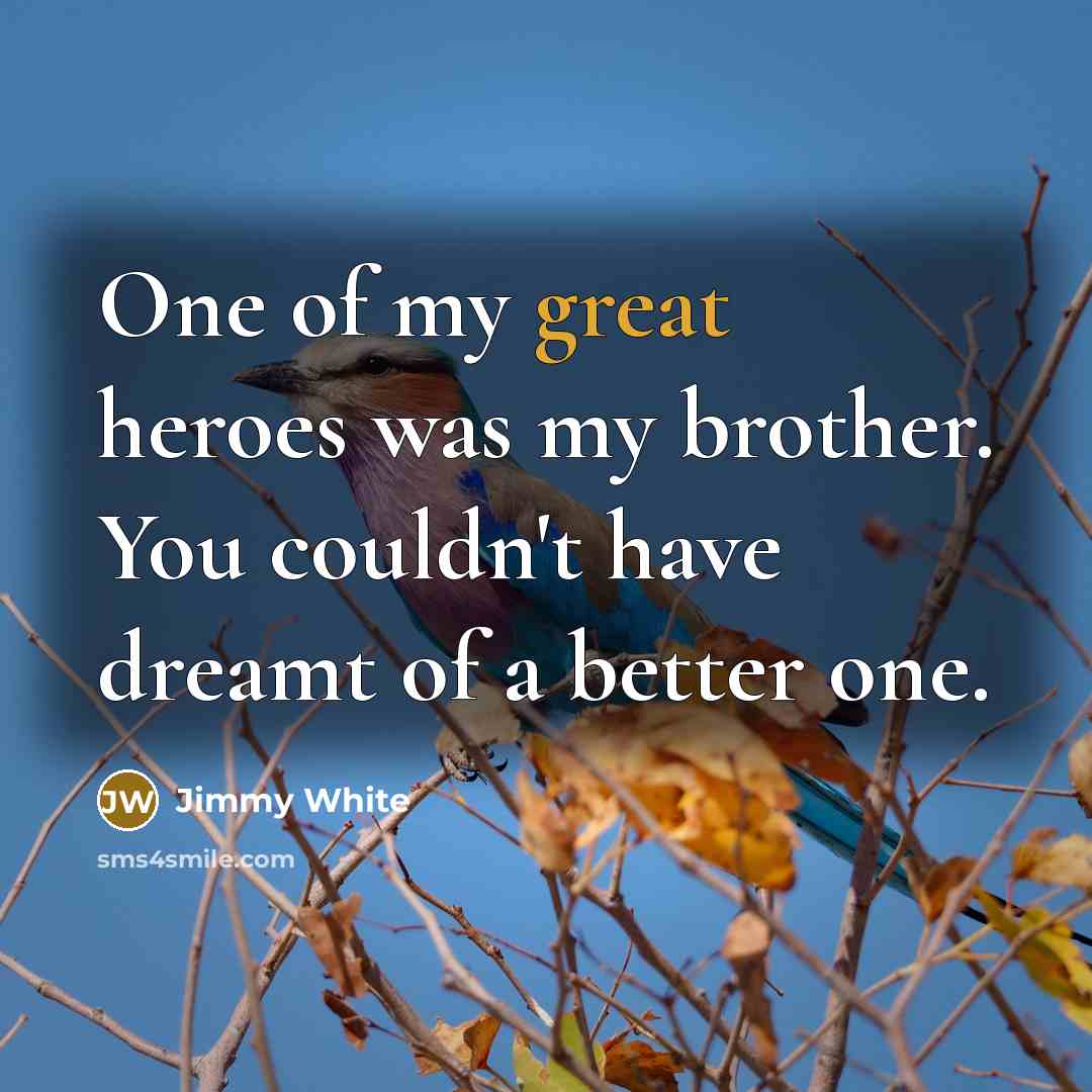 “One of my great heroes was my brother. You couldn't…” quote by Jimmy White