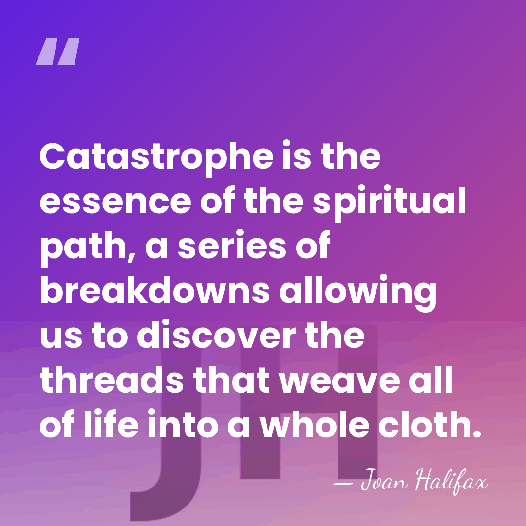 Catastrophe is the essence of the spiritual path, a series of breakdowns&hellip; - Joan Halifax
