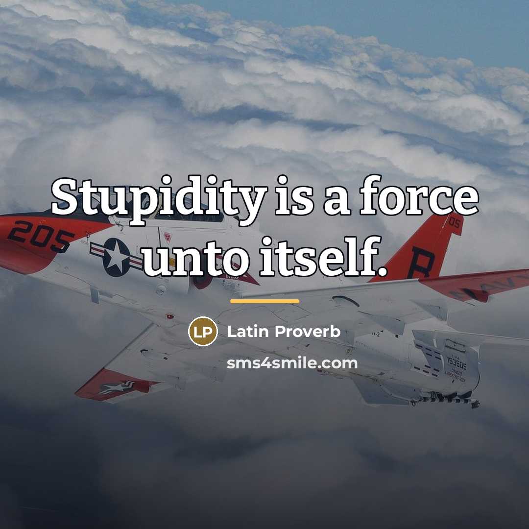 “Stupidity is a force unto itself.…” quote by Latin Proverb