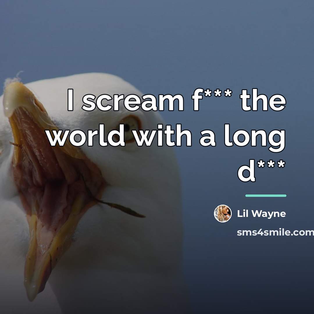 “I scream f*** the world with a long d***…” quote by Lil Wayne
