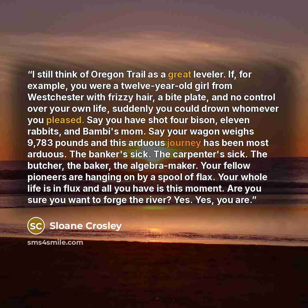 “I still think of Oregon Trail as a great leveler. If, for example, you were a twelve-year-old girl from Westchester with frizzy hair, a bite plate, and no control over your own life, suddenly you could drown whomever you pleased. Say you have shot four bison, eleven rabbits, and Bambi's mom. Say…” quote by Sloane Crosley