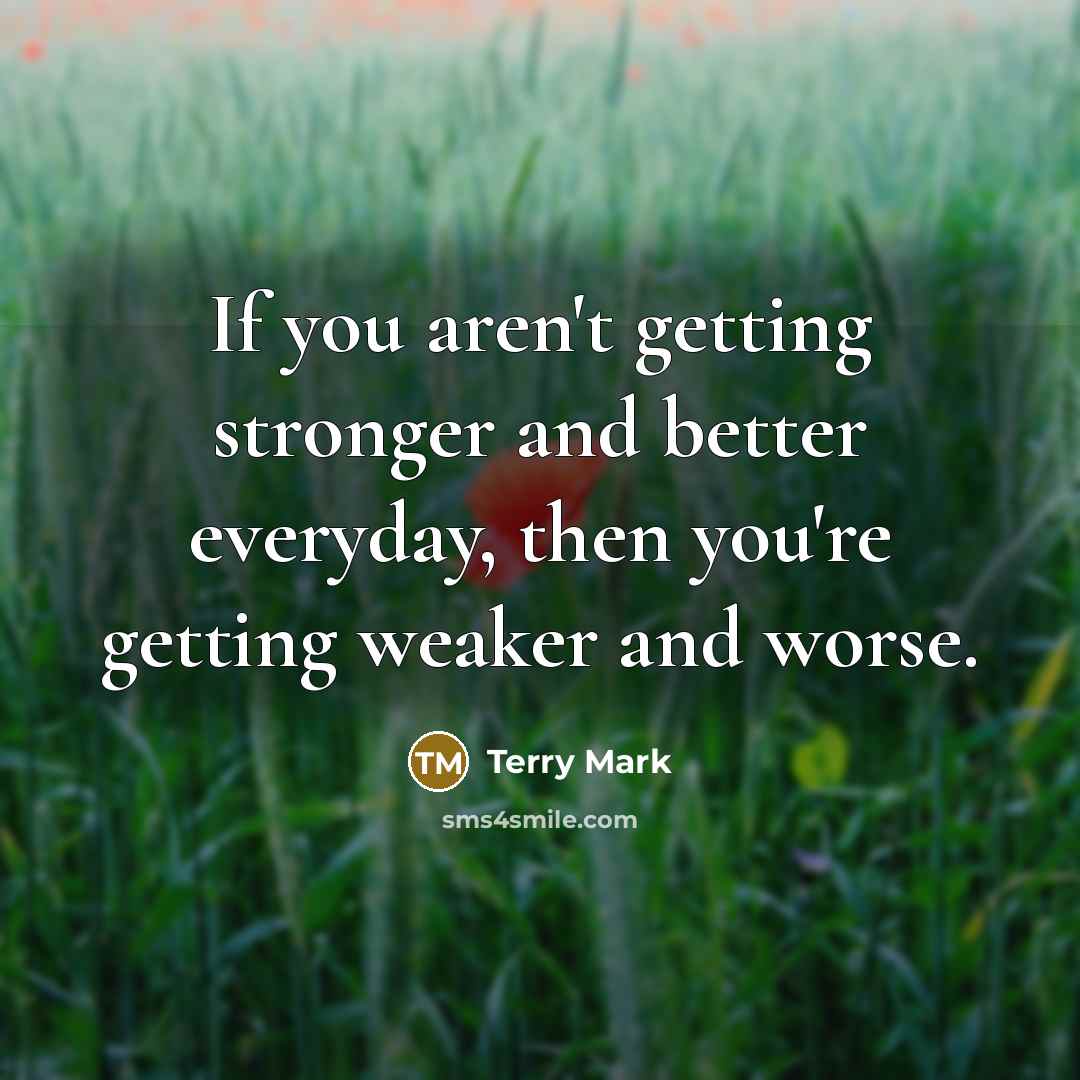 “If you aren't getting stronger and better everyday, then you're…” quote by Terry Mark