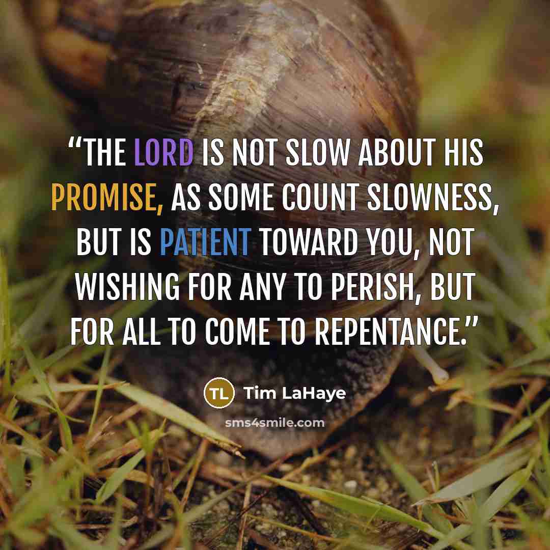 “The Lord is not slow about His promise, as some count slowness, but is patient toward you, not wishing for any to perish, but for all to come to repentance.” quote by Tim LaHaye