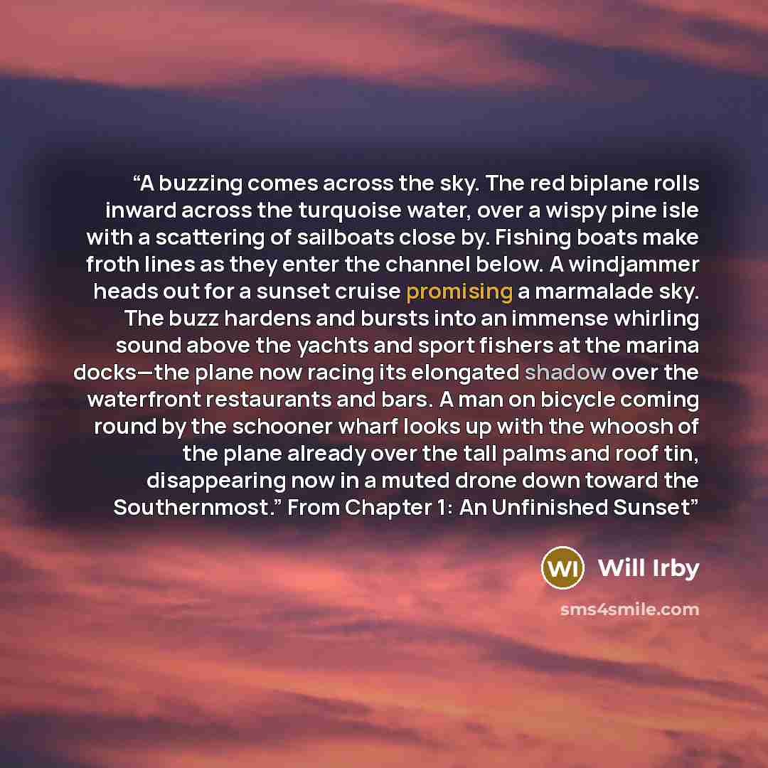“A buzzing comes across the sky. The red biplane rolls inward across the turquoise water, over a wispy pine isle with a scattering of sailboats close by. Fishing boats make froth lines as they enter the channel below. A windjammer heads out for a sunset cruise promising a marmalade sky. The buzz…” quote by Will Irby