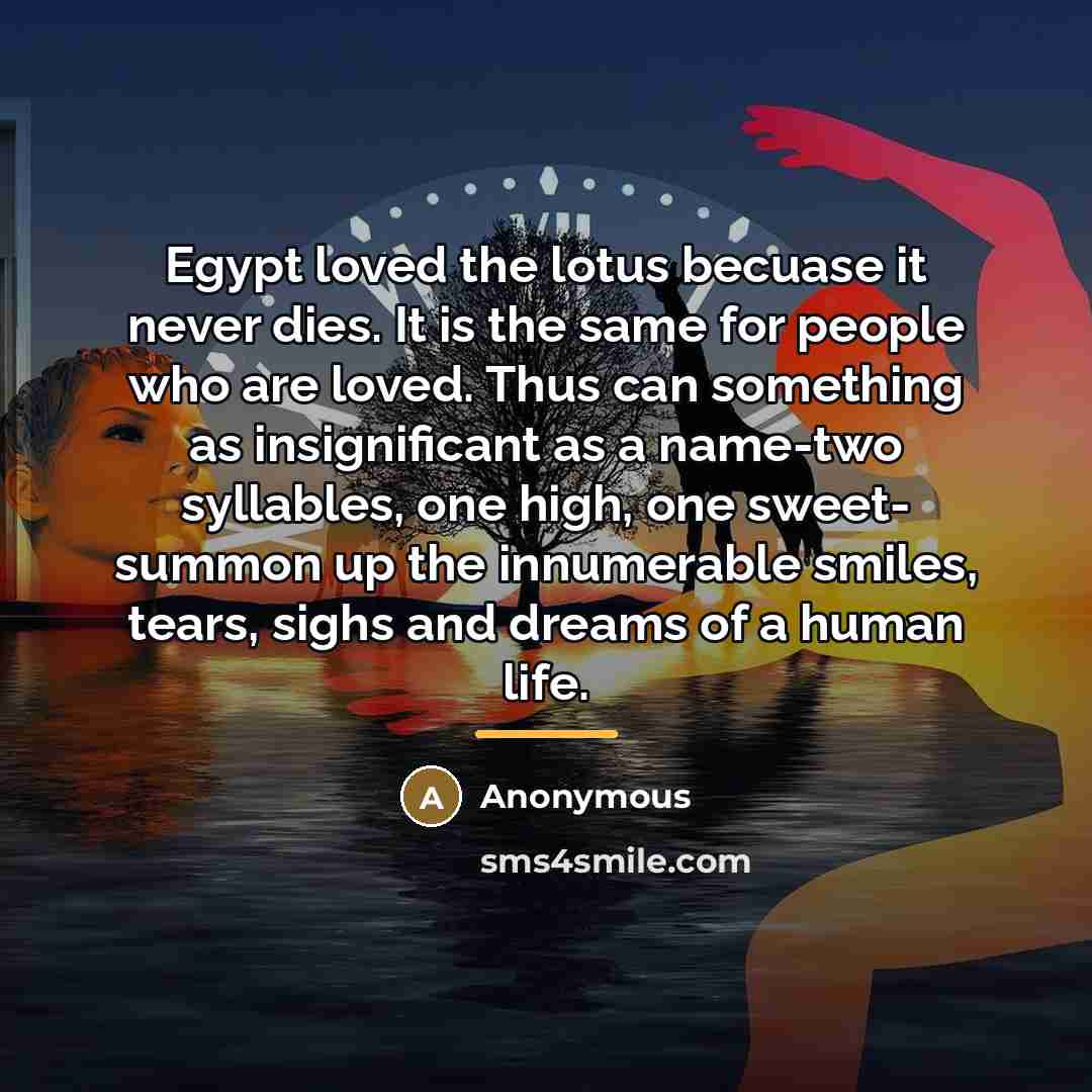 “Egypt loved the lotus becuase it never dies. It is…” quote by Anonymous