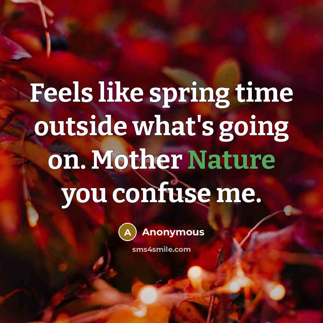 “Feels like spring time outside what's going on. Mother Nature you confuse me.” quote by Anonymous