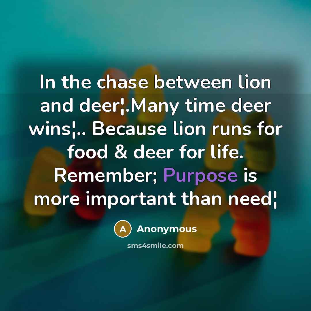 “In the chase between lion and deer¦.Many time deer wins¦..…” quote by Anonymous