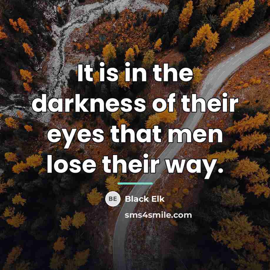 “It is in the darkness of their eyes that men…” quote by Black Elk