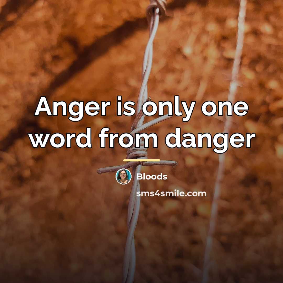 “Anger is only one word from danger…” quote by Bloods