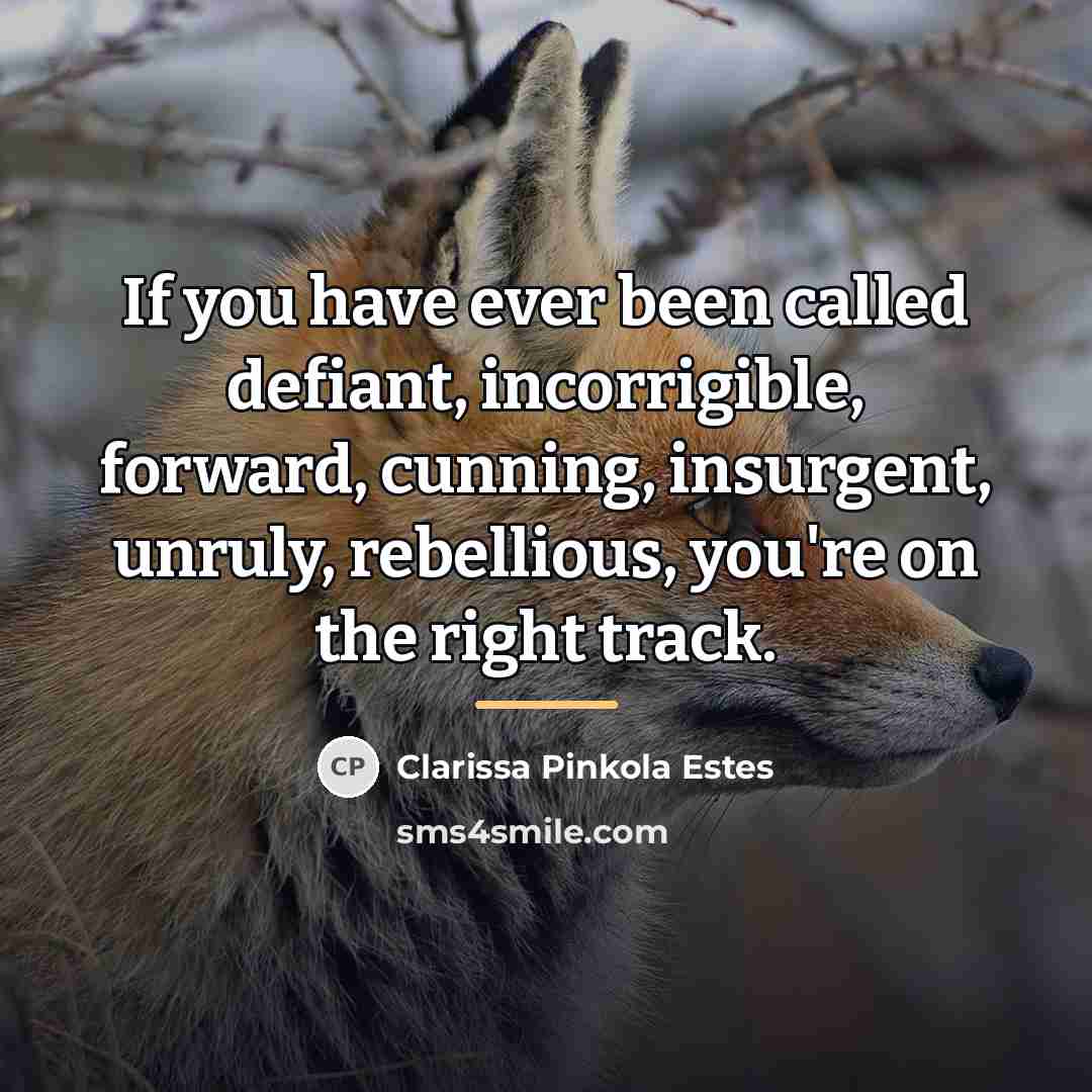 “If you have ever been called defiant, incorrigible, forward, cunning,…” quote by Clarissa Pinkola Estes