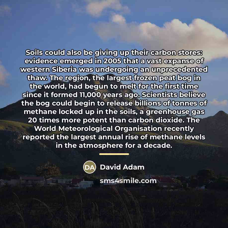 “Soils could also be giving up their carbon stores: evidence…” quote by David Adam