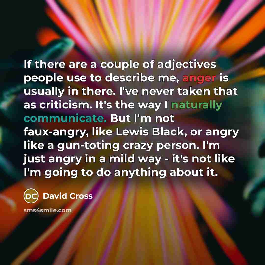 “If there are a couple of adjectives people use to…” quote by David Cross