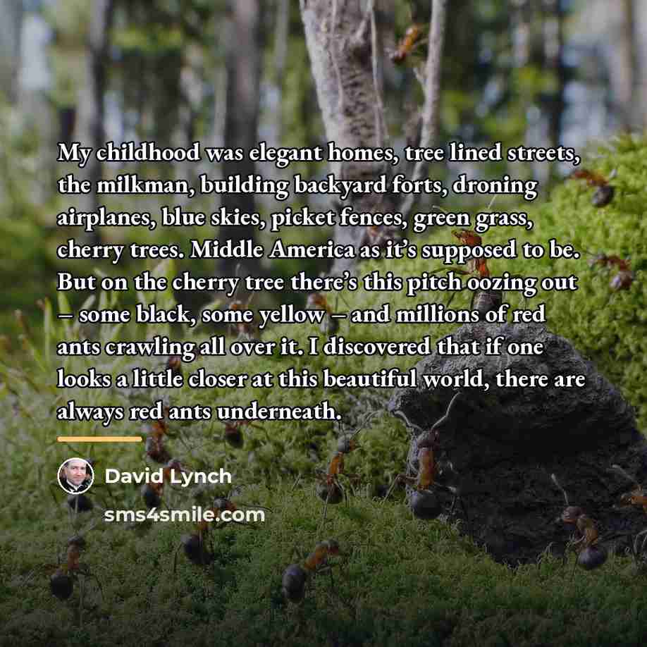 “My childhood was elegant homes, tree lined streets, the milkman,…” quote by David Lynch
