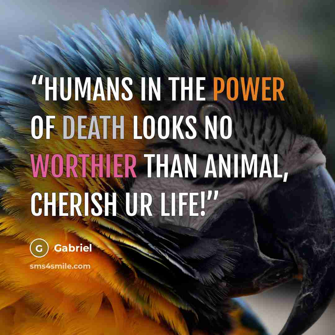 “Humans in the power of death looks no worthier than animal, cherish ur life!” quote by Gabriel
