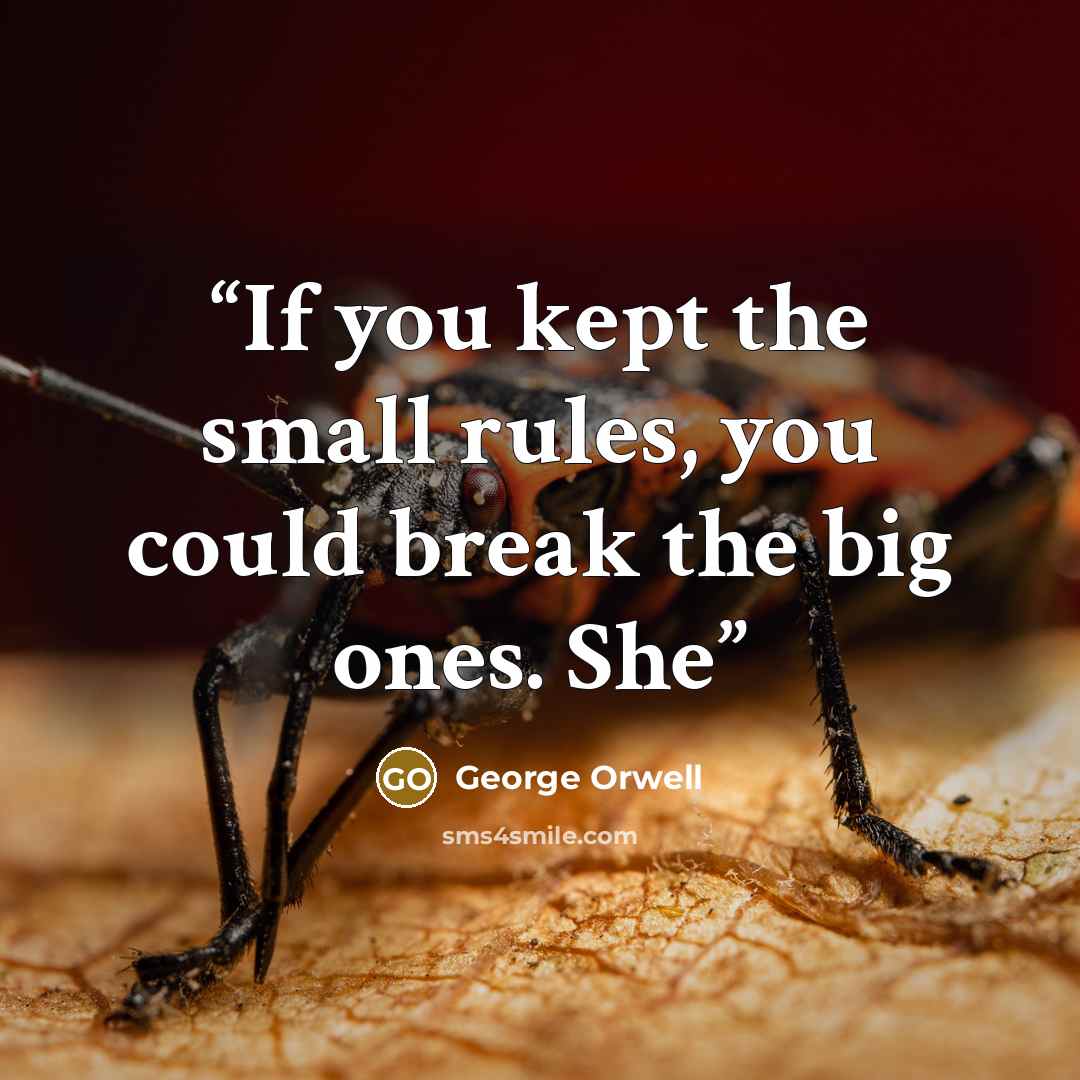 “If you kept the small rules, you could break the big ones. She” quote by George Orwell