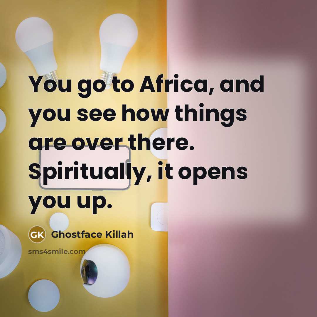 “You go to Africa, and you see how things are…” quote by Ghostface Killah