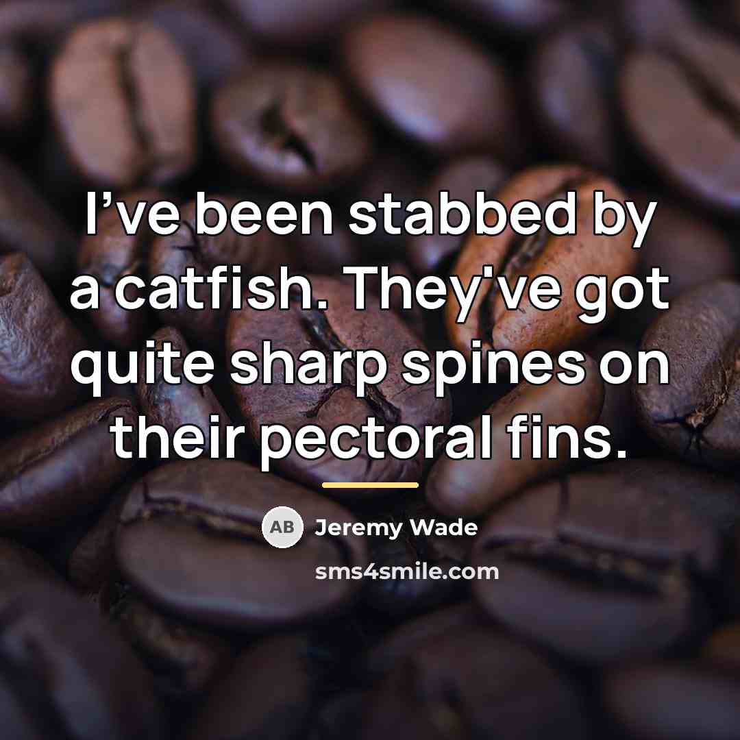 “I've been stabbed by a catfish. They've got quite sharp…” quote by Jeremy Wade