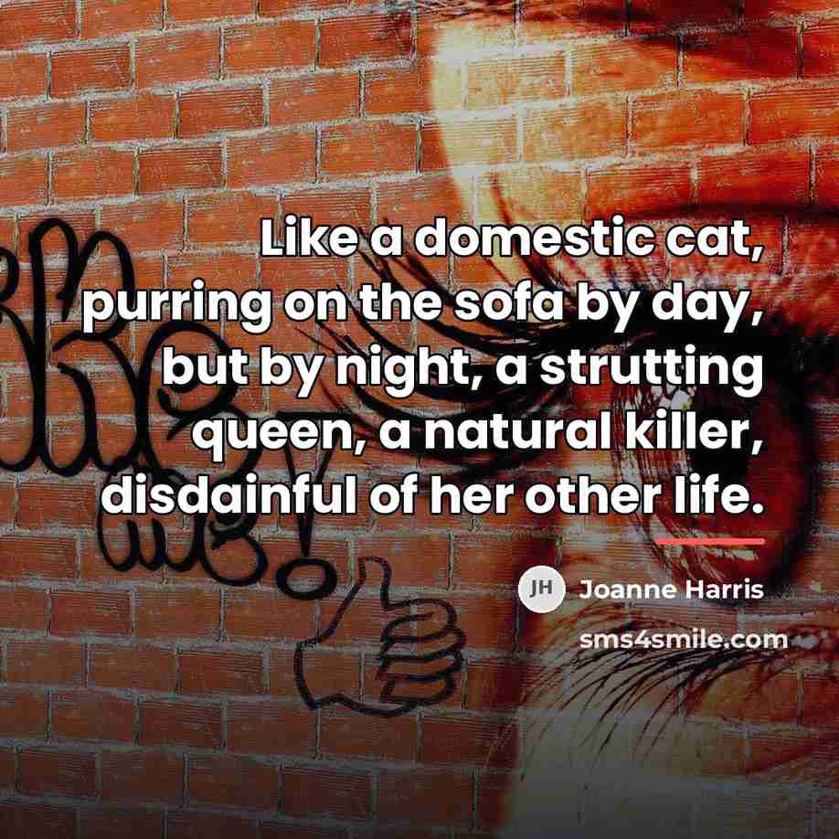 “Like a domestic cat, purring on the sofa by day,…” quote by Joanne Harris