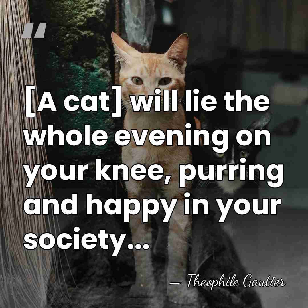 [A cat] will lie the whole evening on your knee, purring and&hellip; - Theophile Gautier