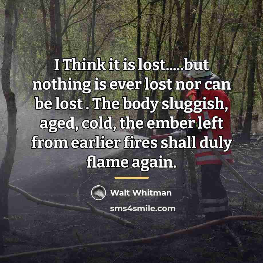 “I Think it is lost.....but nothing is ever lost nor…” quote by Walt Whitman