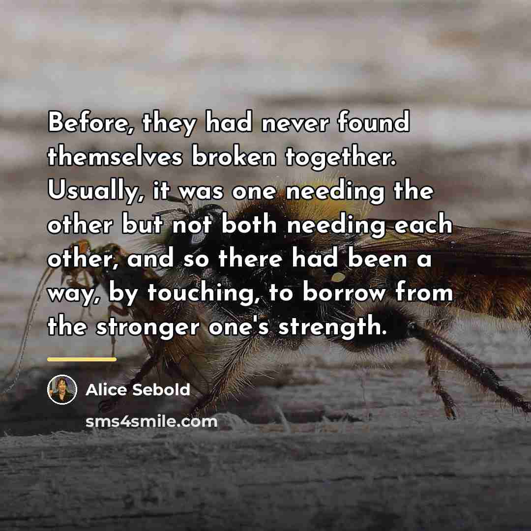 “Before, they had never found themselves broken together. Usually, it…” quote by Alice Sebold