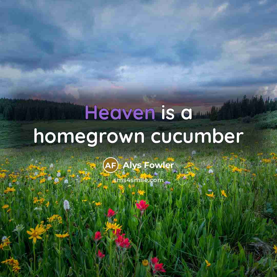 “Heaven is a homegrown cucumber…” quote by Alys Fowler